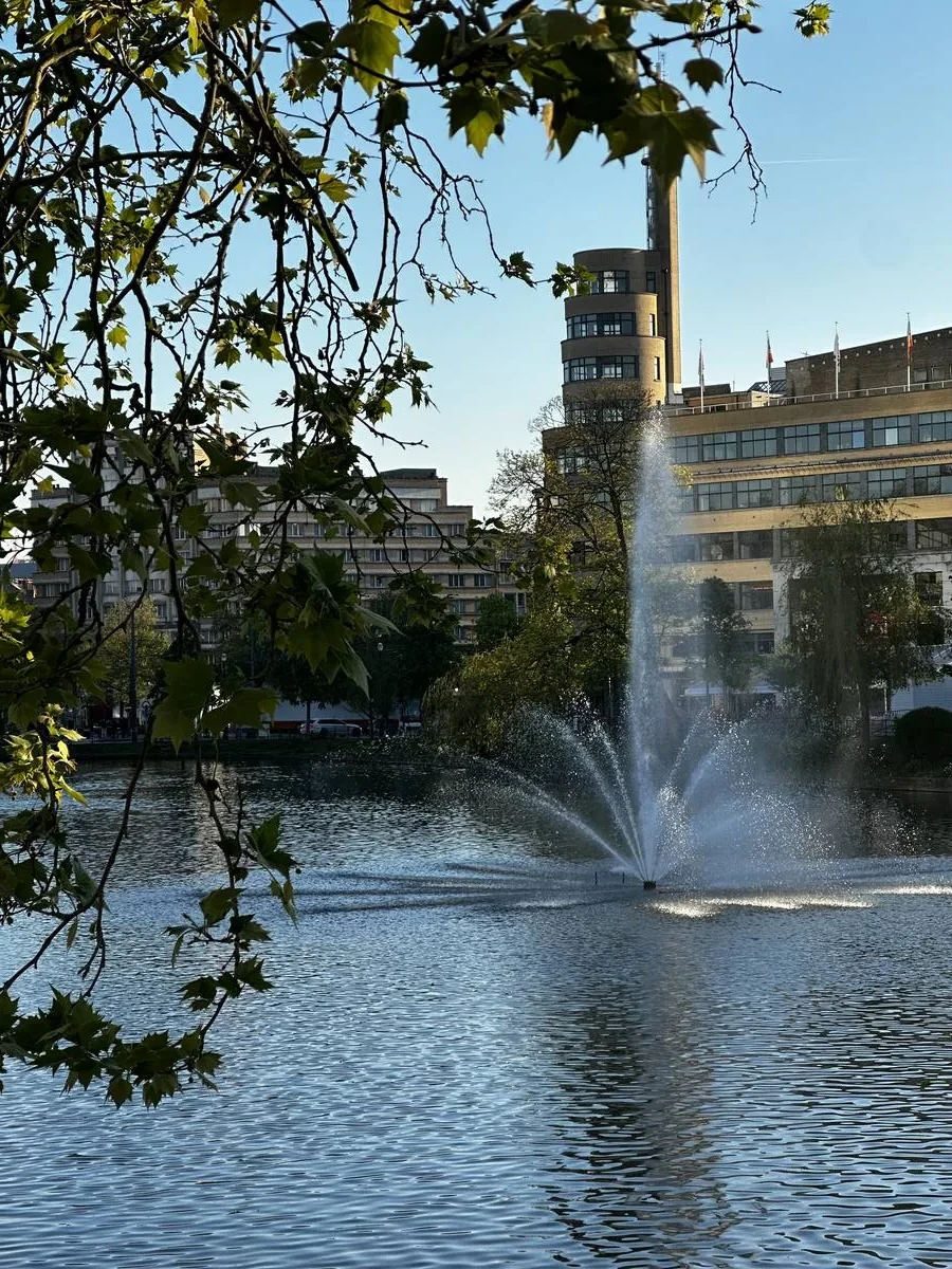 Étang du Bois de la Cambre
